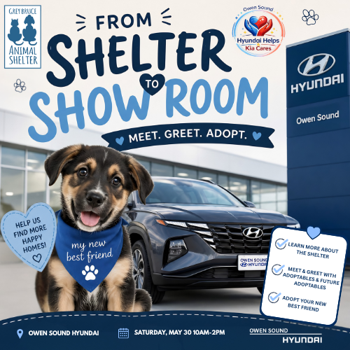 Event image From Shelter to Showrroom